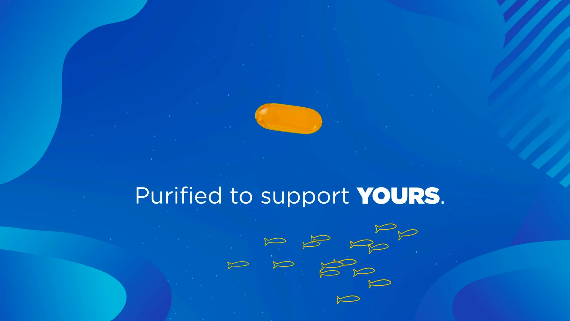 An omega-3 capsule: Purified to support yours