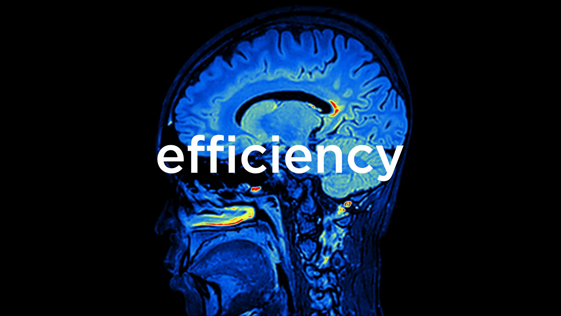 A brain scan behind the word efficiency