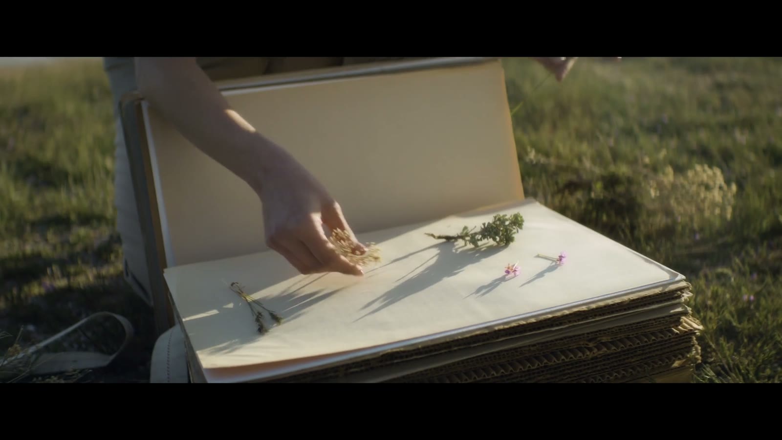 Showreel: poster frame